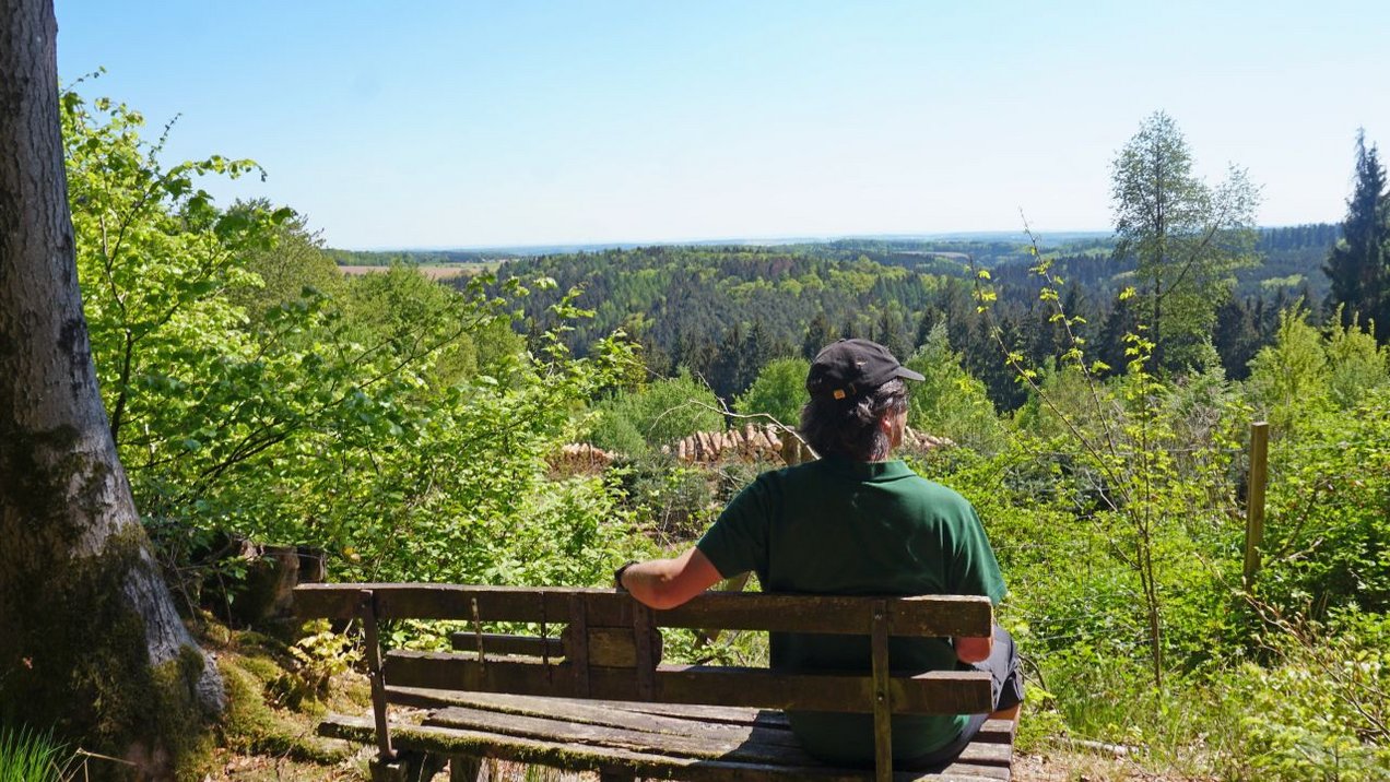 Fernblick in die Natur