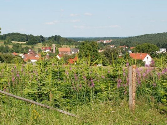 Ortsansicht Laudenberg