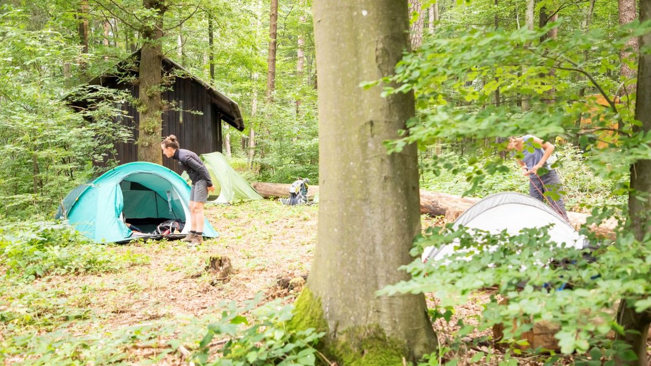 Trekkingplatz mit Zelt Trekkingplatz mit Zelt