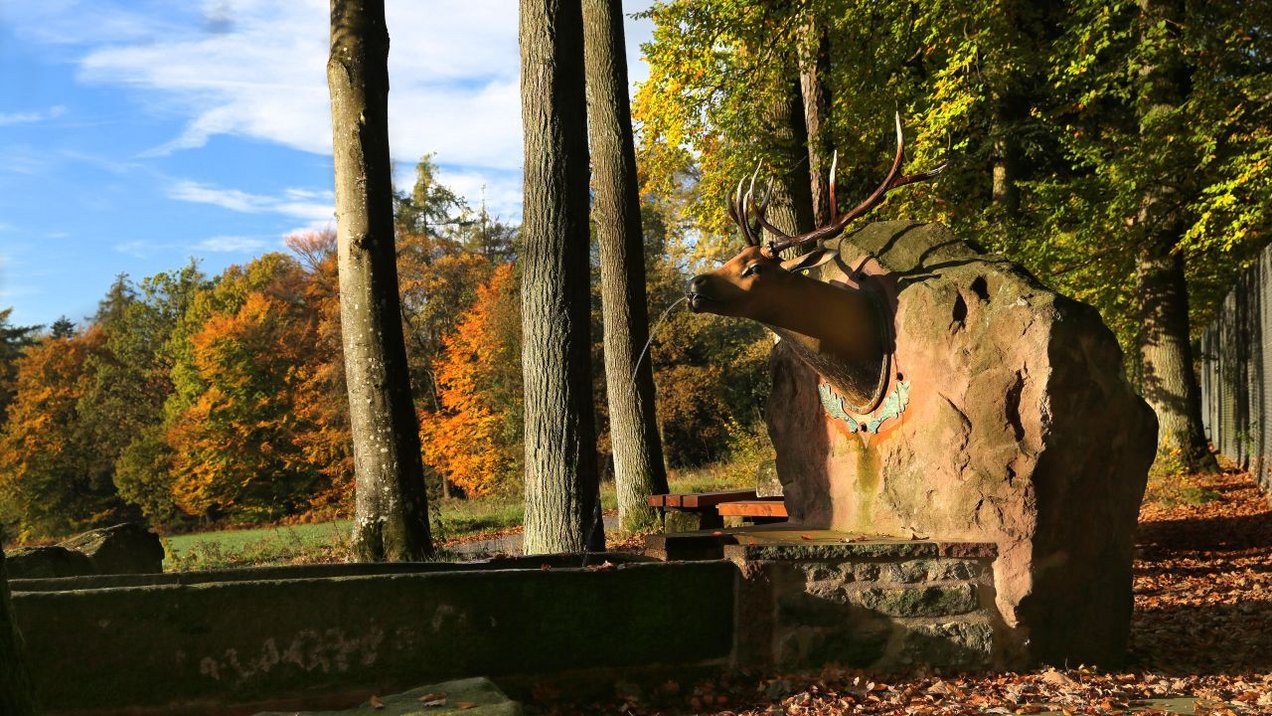 Hirschbrunnen Limbach